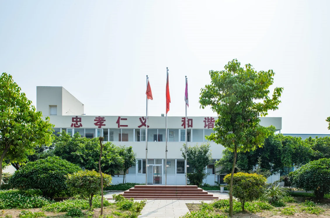 NAH2PO4 Monosodium Phosphate MSP 98%min with price from china manufacturer CAS No 7558-80-7