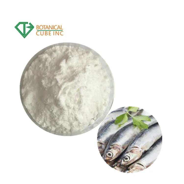 B.C.I поставляет оптом Омега-3 жирные кислоты докошахексаеновая кислота для использования Омега 3 Рыбное масло ДГК порошок глубоководное морских водорослей