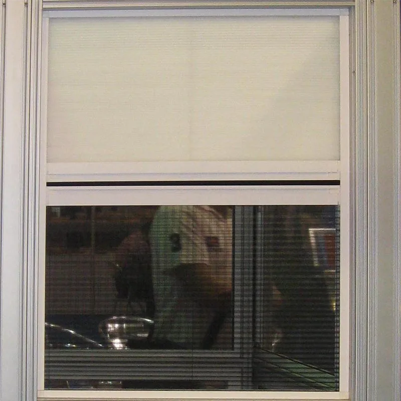 High Quality Custom Windows Plisse System Window Without Bottom Track Mosquito roof Screen