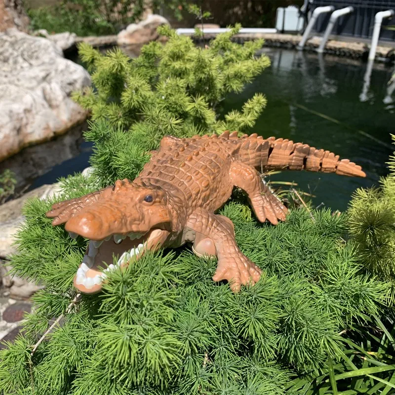 RC Crocodile (8)