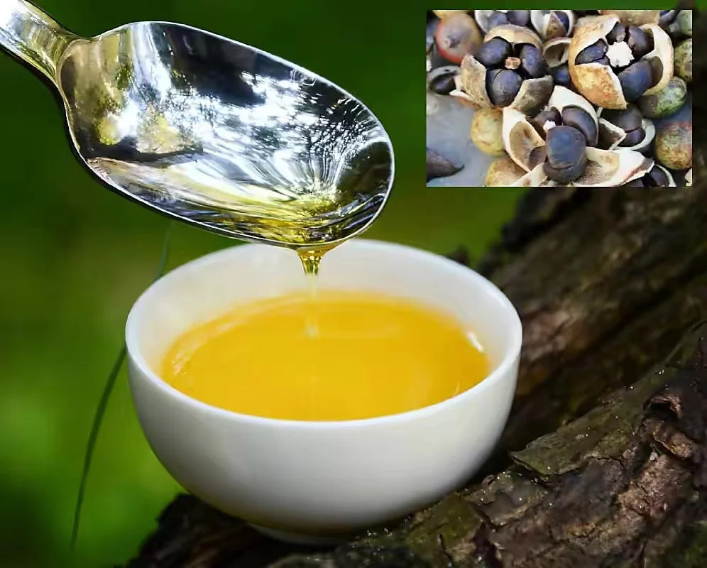 High Quality Camellia Oil Organic Grade Bulk Camellia Oil For Skin