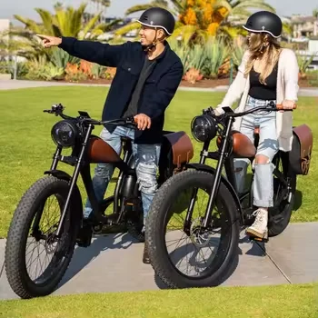 2024 Best Selling 500W Hybrid Electric Fat Bike 48V Tube Lithium  Rear Hub Motor electric vintage