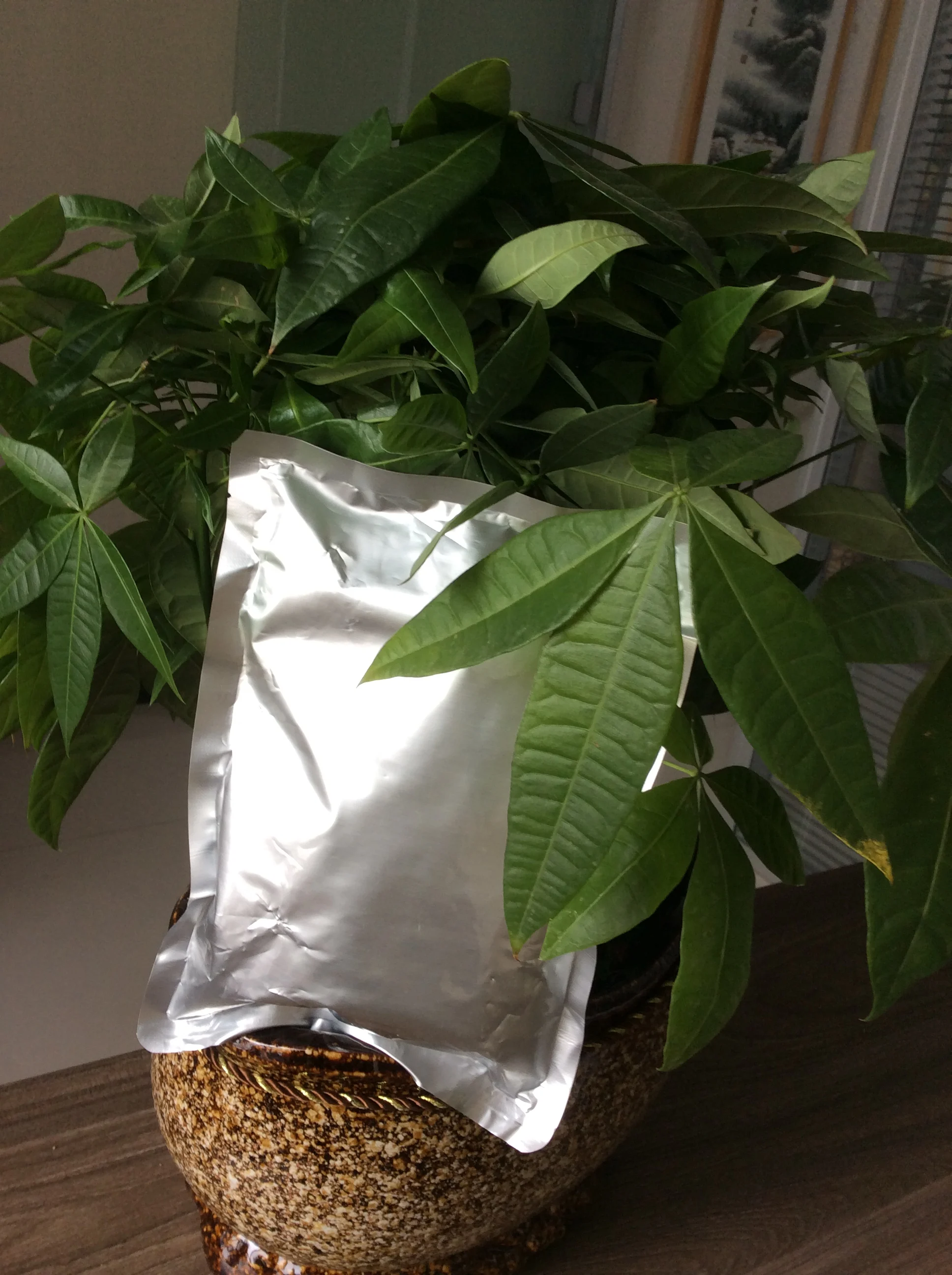 
Lowest price Chemotherapy drug Temozolomide 99% CAS 85622-93-1 / Temozolomide 