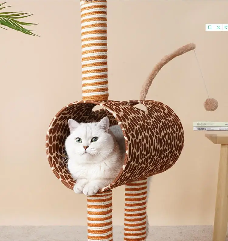 
Direct Selling Orange Color Light Green Color Gray Color Pet Toys 