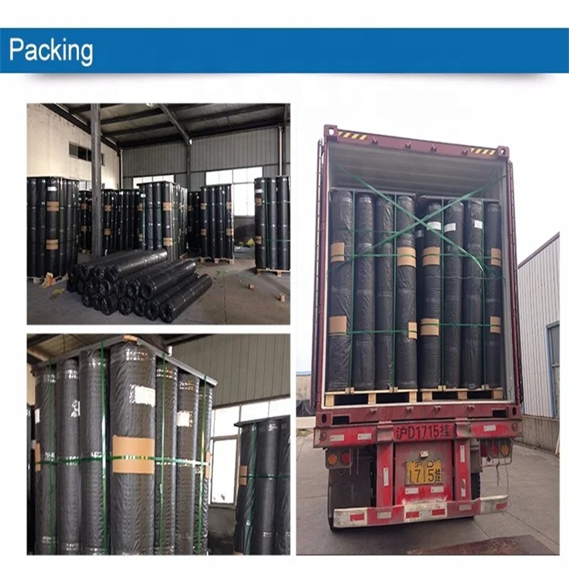 Customized Fiberglass Geogrid Coated Bitumen For Slope Protection