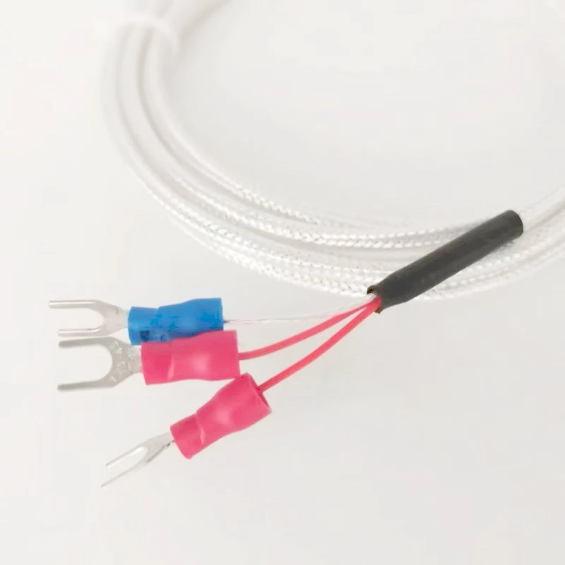 FOCUSENS PT100 DS18B20  PTFE PT100 RTD Professional 3 Wire Temperature Sensor Waterproof Thermistor Probe Temperature