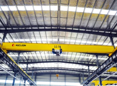 HD Type FEM Duty 2m 3.2 Ton 5 Ton 16 ton eot crane Single Beam Rail Travelling European Overhead Crane
