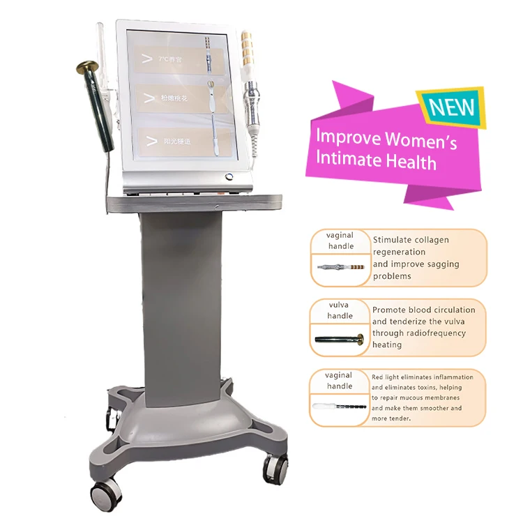 2024 Hot Sale Women Care Rejuvenation Vaginal Skin Tightening Vaginal Tightening Pelvic Floor Clinic Vaginal Tighten Machine