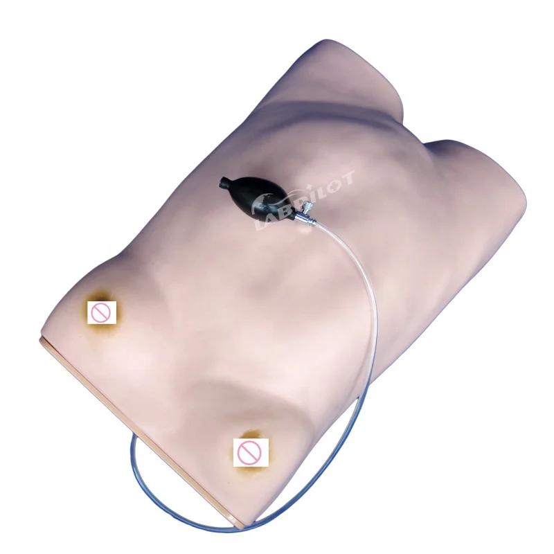 Gynecologist Training Simulator Maternity Palpation Manikin