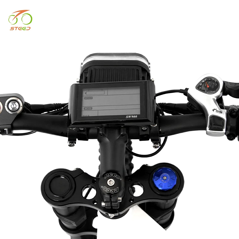 Steed walking bike chaoyang electric bicycle engwe 2000w 3000w fat tire bike with electric conversion kit