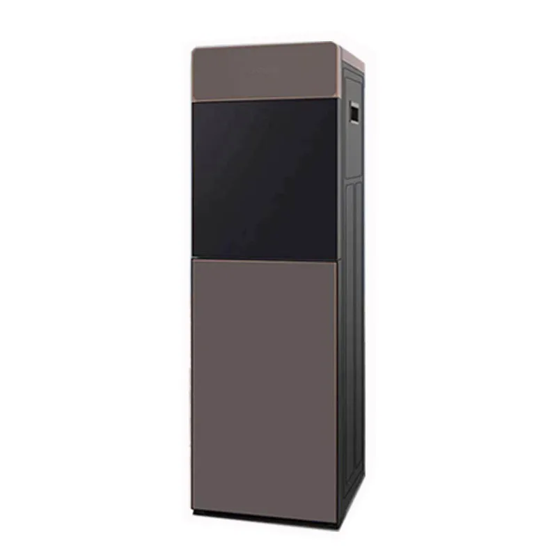 Electronic Water Purifier with Hot and Cold Water Options