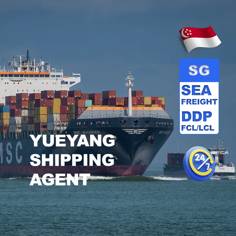 Cheapest Ocean Logistics Freight Transport from China to Singapore Sea door to door delivery Service Free Warehouse