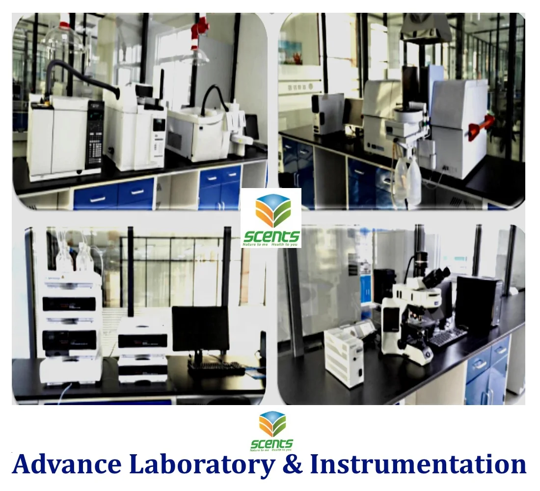 Direct Factory Sale Maltose Syrup 75 Economical Sweetener Substitute