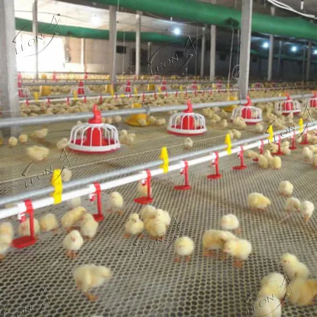 Low Price Automatic Broiler Cheken Farm Poultry Equipment Chicken House for Animal Poultry Husbandry