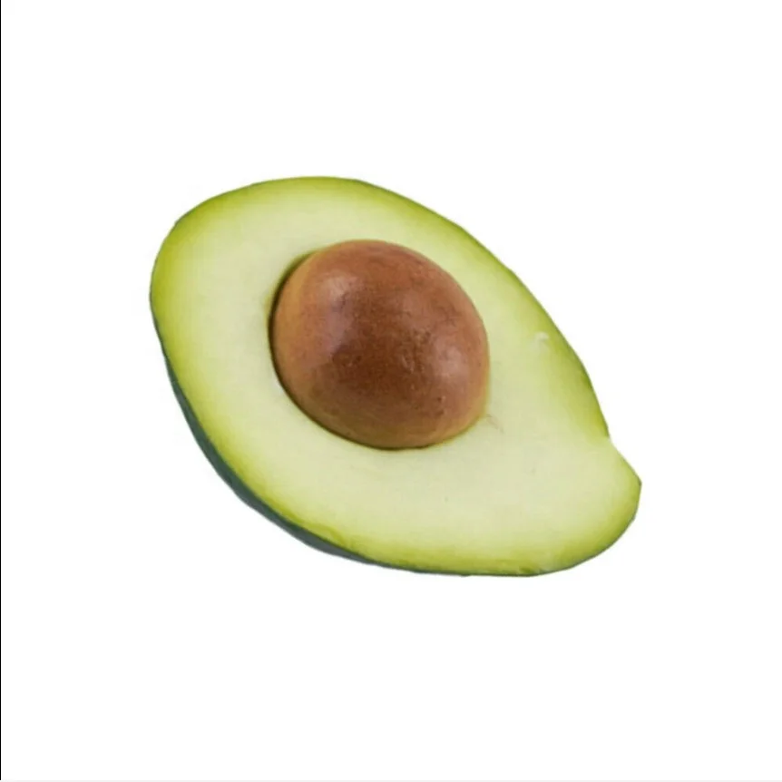 Fake Large Papier Mache Avocado Vegetable Fruit ~ Theater Prop Home Decor