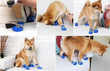 4pc/set pet dog cat shoes socks outdoor wear sock Non-slip plastic sole