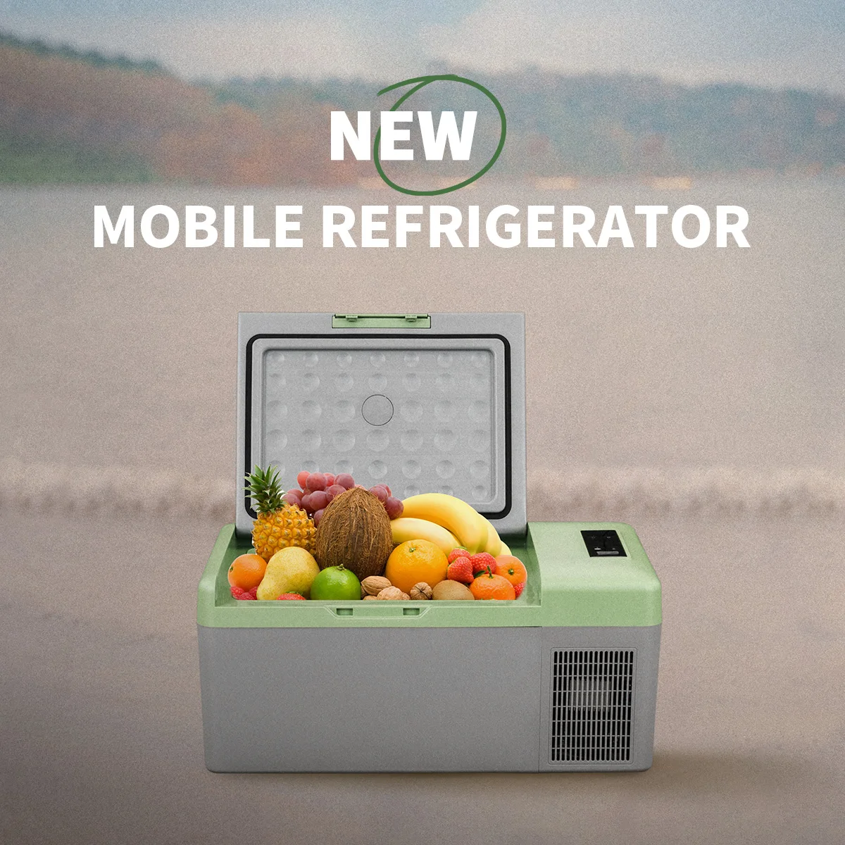 OEM ODM 16L small capacity 12v mini fridge outdoor portable compressor car refrigerator