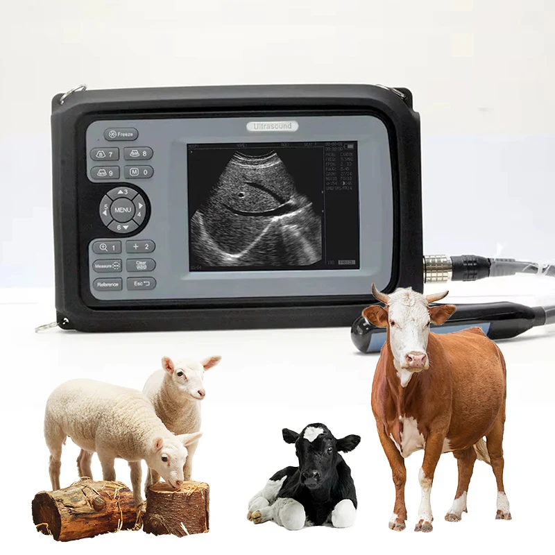 pregnancy ultrasound scan clinic pasture Breeding center veterinary ultrasound scanner with convex rectal probe