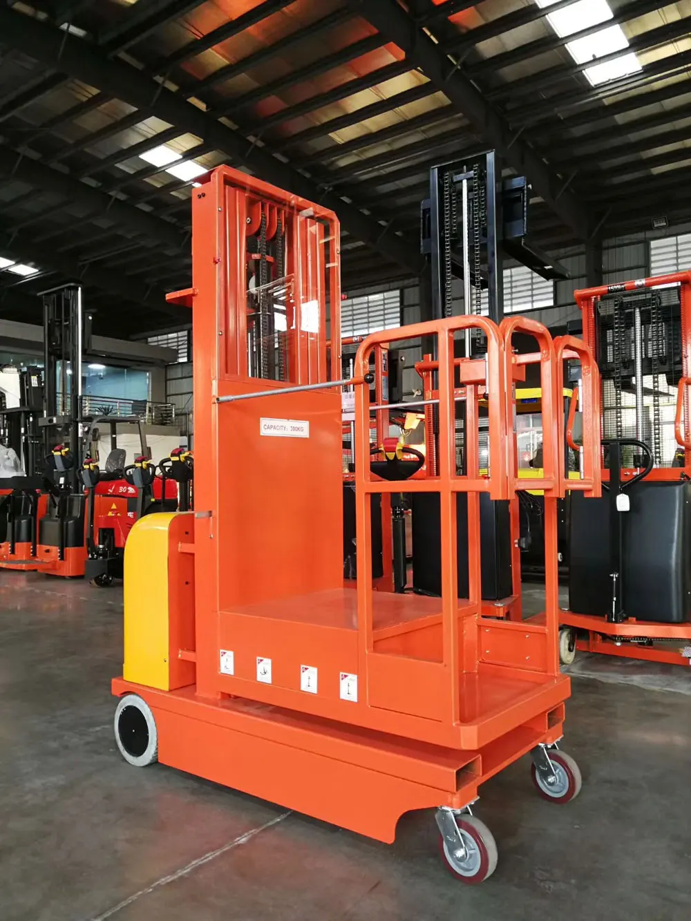  Vlift 300 кг полный Электрический подъемник заказа 4500
