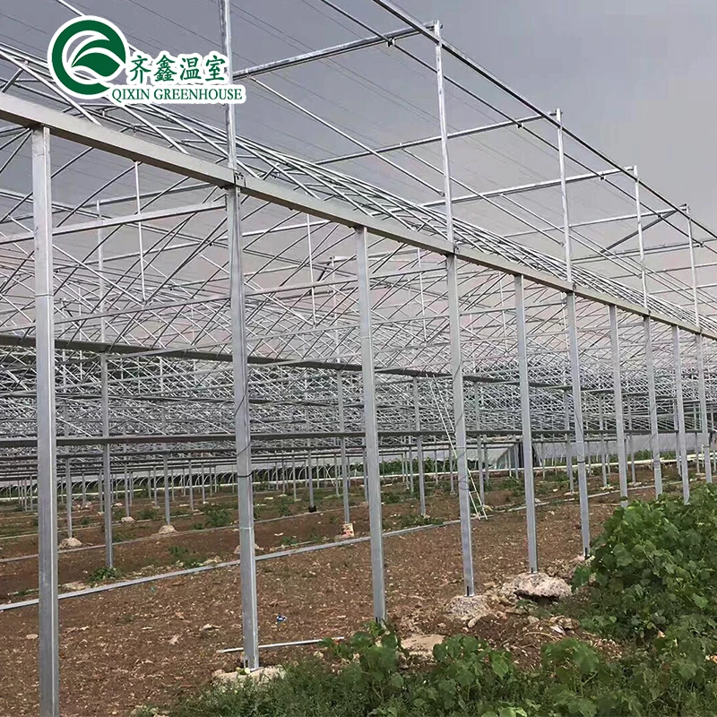 grow tomato equipment vegetables irrigation & hydroponics greenhouse