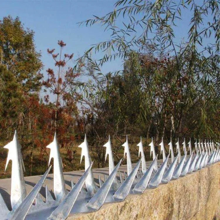 Factory supply high quality New Design Big Size Galvanized Anti-Climb Razor Wall Spikes For Security