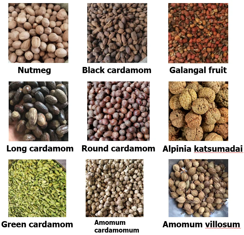 Hot Selling Cardamom All Natural Shellless Nutmeg Bulk Spice Cardamom