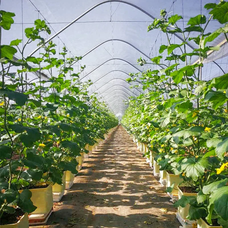 Square Plastic Flower Pot  Nft Channel Vertical Hydroponics Tomato Hydroponic Strawberry Dutch Bucket Indoor