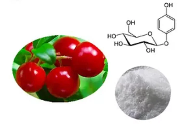Arbutin raw material of bearfruit extract cosmetics and skin care
