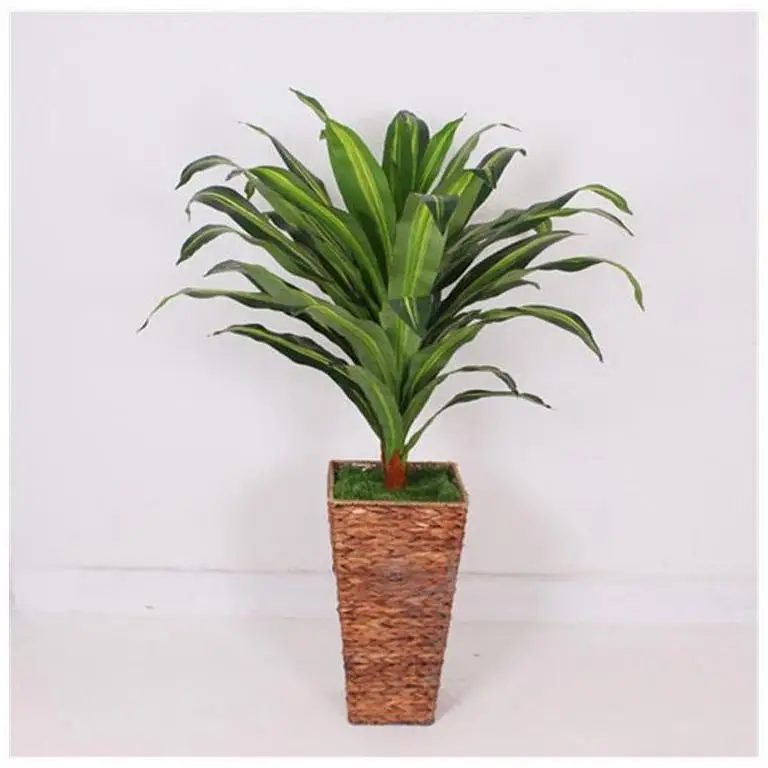 Banana Tree Good Quality Plants and New Arrivals Coconut Palm Bouquet Hight Quality Hot Sale Fake Plants Decoration