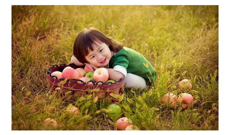 Trichoderma reesei 5 billion CFU/g for agriculture