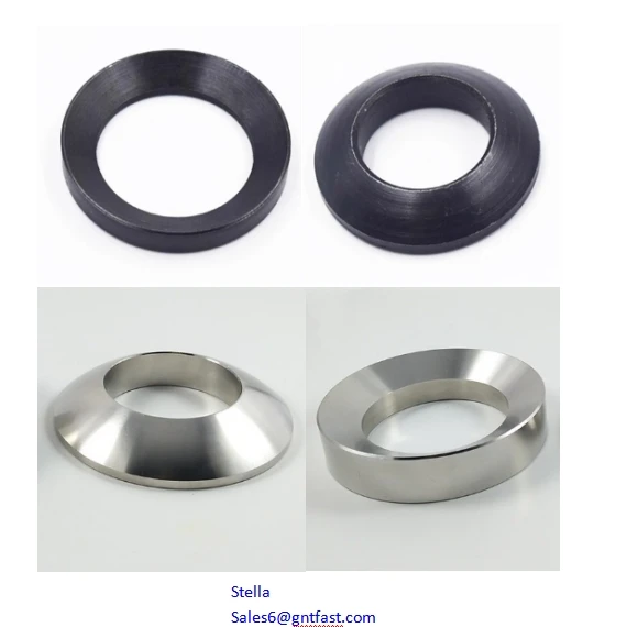 GB850 DIN6319 Carbon steel PTFE Coated carbon steel spherical Washer