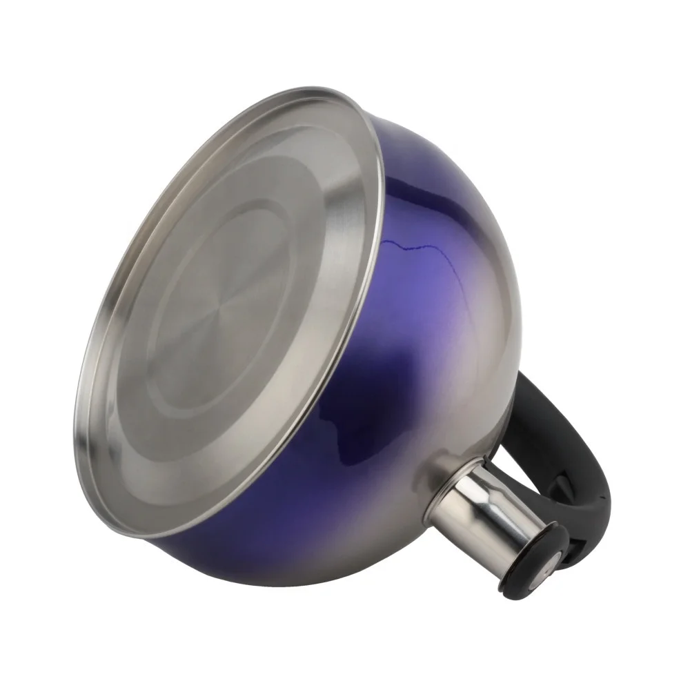 Stainless Steel Tea Kettle Small Tea Pots 2.6 Quart, Whistling Tea Kettle for Stove Top
