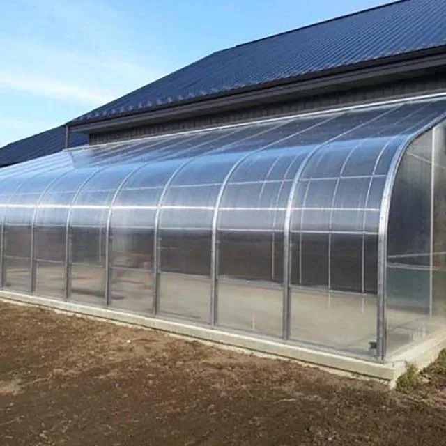 Economic Tunnel Plastic Greenhouse for Vegetable