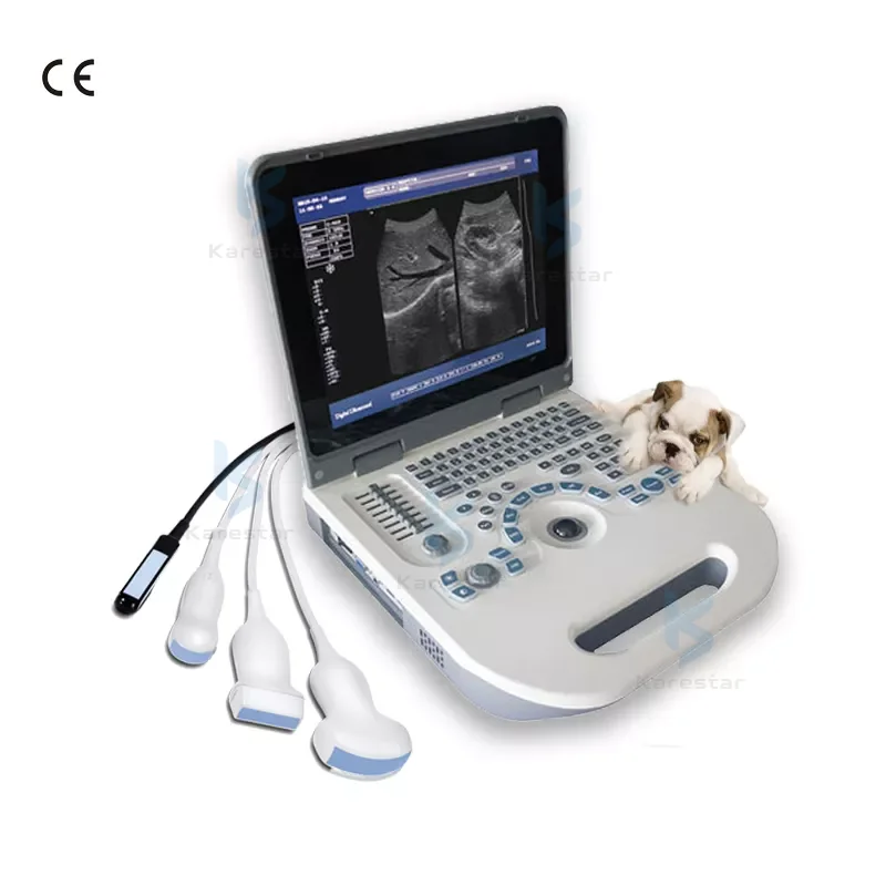 Mindray Vet Ultrasound Portable veterinary Ultrasound machine price