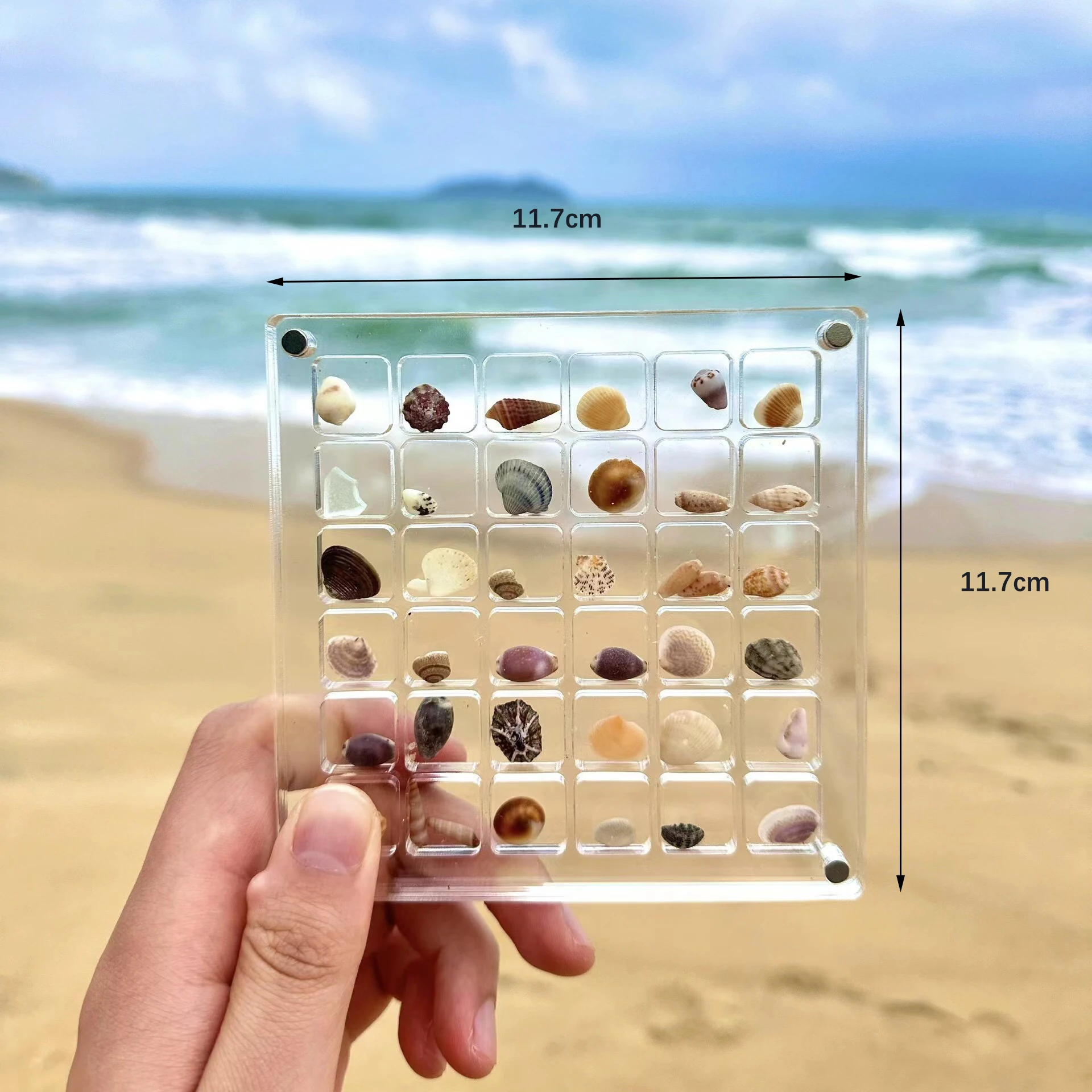 32&64&100 Grids Magnetic Seashell Display Storage Box Diamond Gemstone Beads Organizer Acrylic Transparent Jewelry Collector