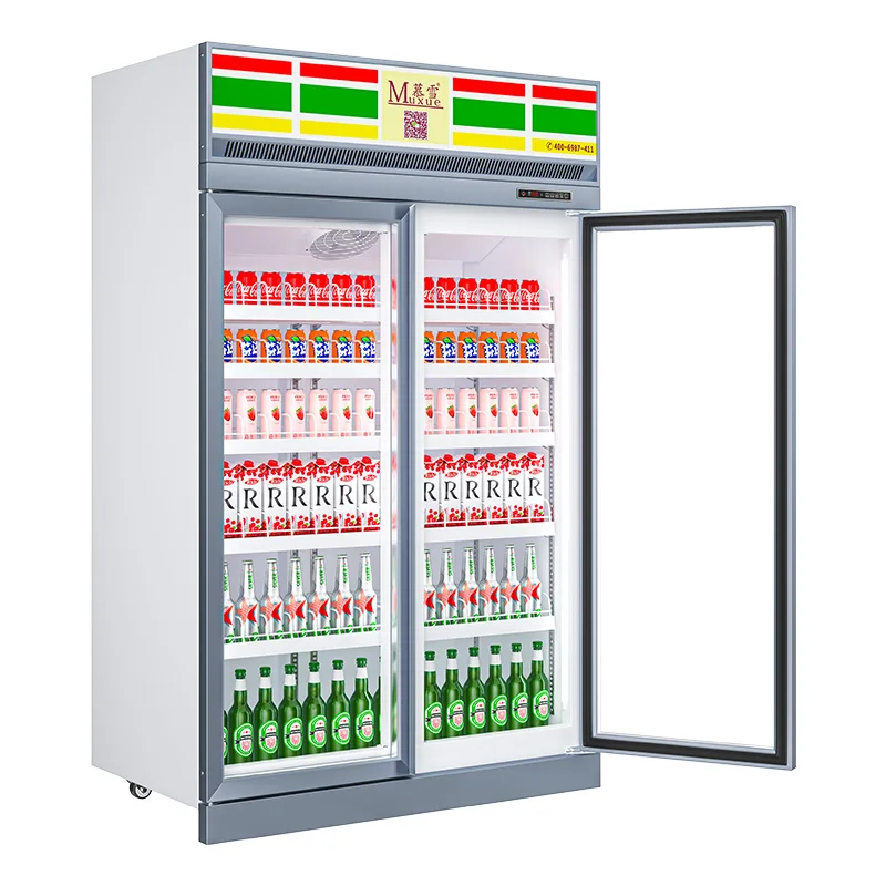 2 Glass Door Beverage Display Fridge Frost Free Glass Door Commercial Refrigerated Beverage Display