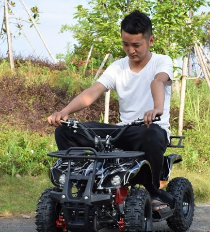 China Suppliers Hot Sale 4 Wheel Atv 49cc Mini Kids Quad Bikes