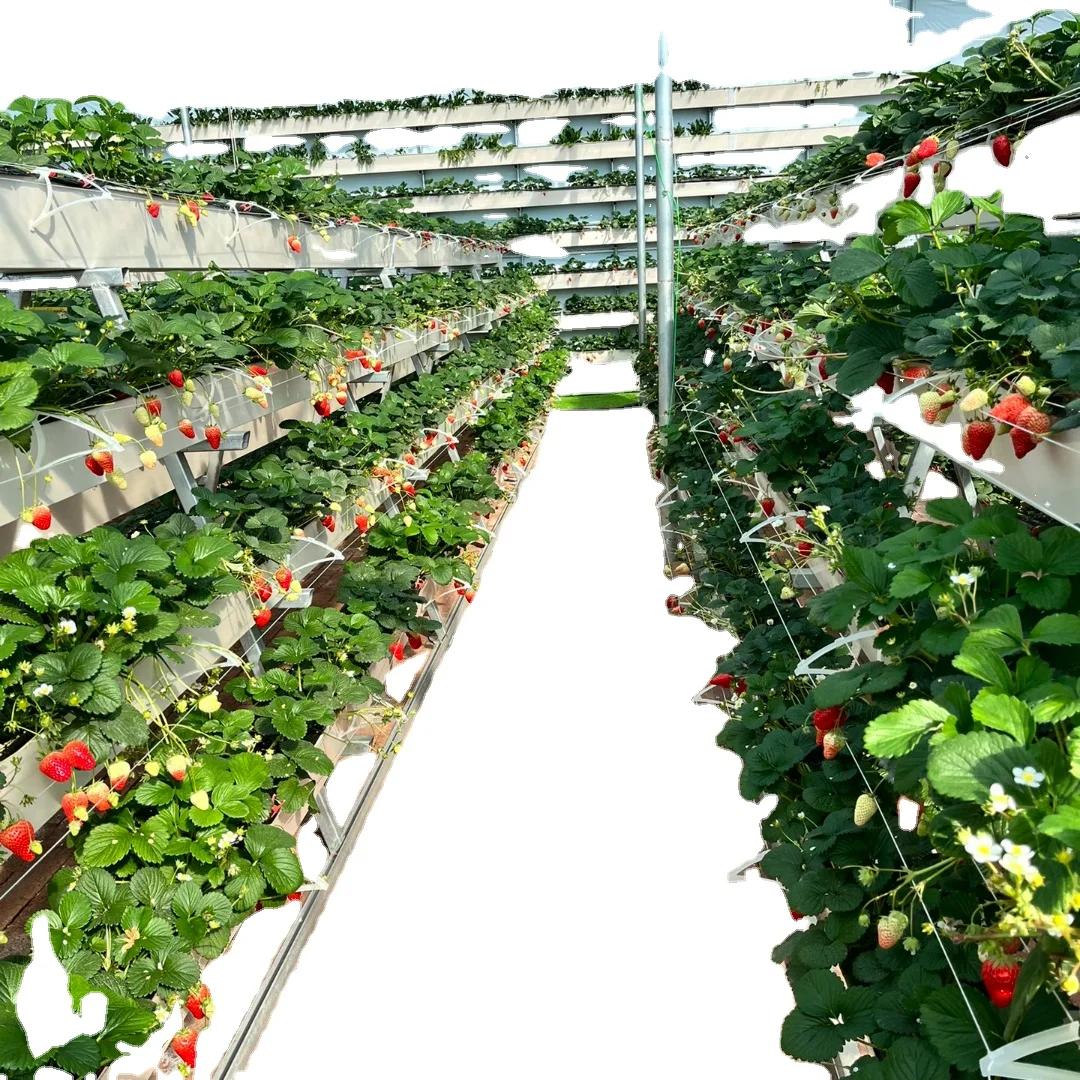 Hot Sale Agricultural Greenhouse strawberry gutter Used Hydroponic PVC Trough Hydroponic Planting Gutter For Strawberry