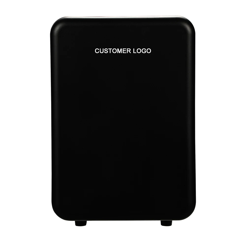 10L Mini Fridge For Bedroom 110v Ac 12v Dc Portable Skincare Fridge Thermoelectric Cooler And Warmer
