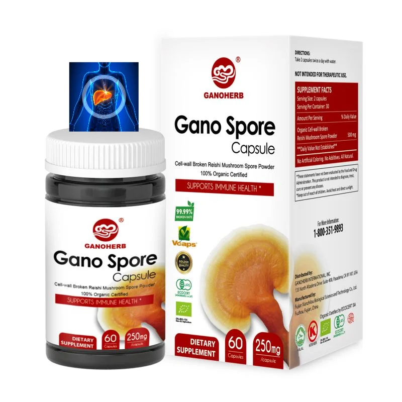 Organic Ganoderma Lucidum Extracto De Reishi Mushroom Spore Capsules Herbal Supplements Powder