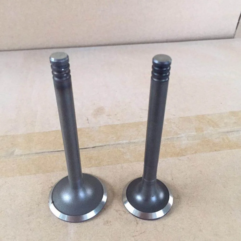 069109601H 068109611L 069109601G 068109611M Tip Engine Valve For VW AAZ AAB In 36*7.96*95  Ex  31.1*7.94*95