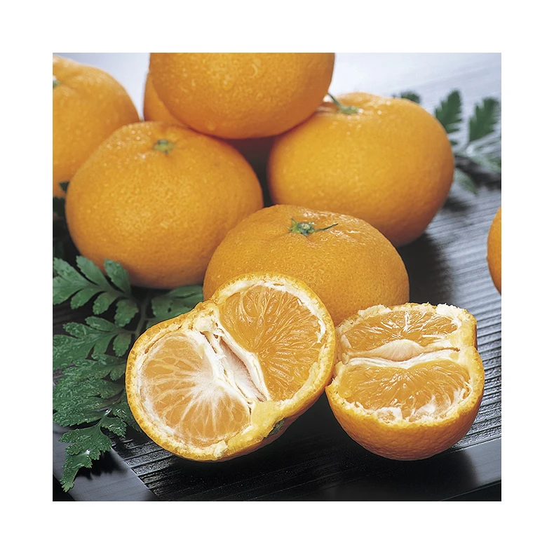 Japanese wholesale bulk hot sale product in Japan with good quality