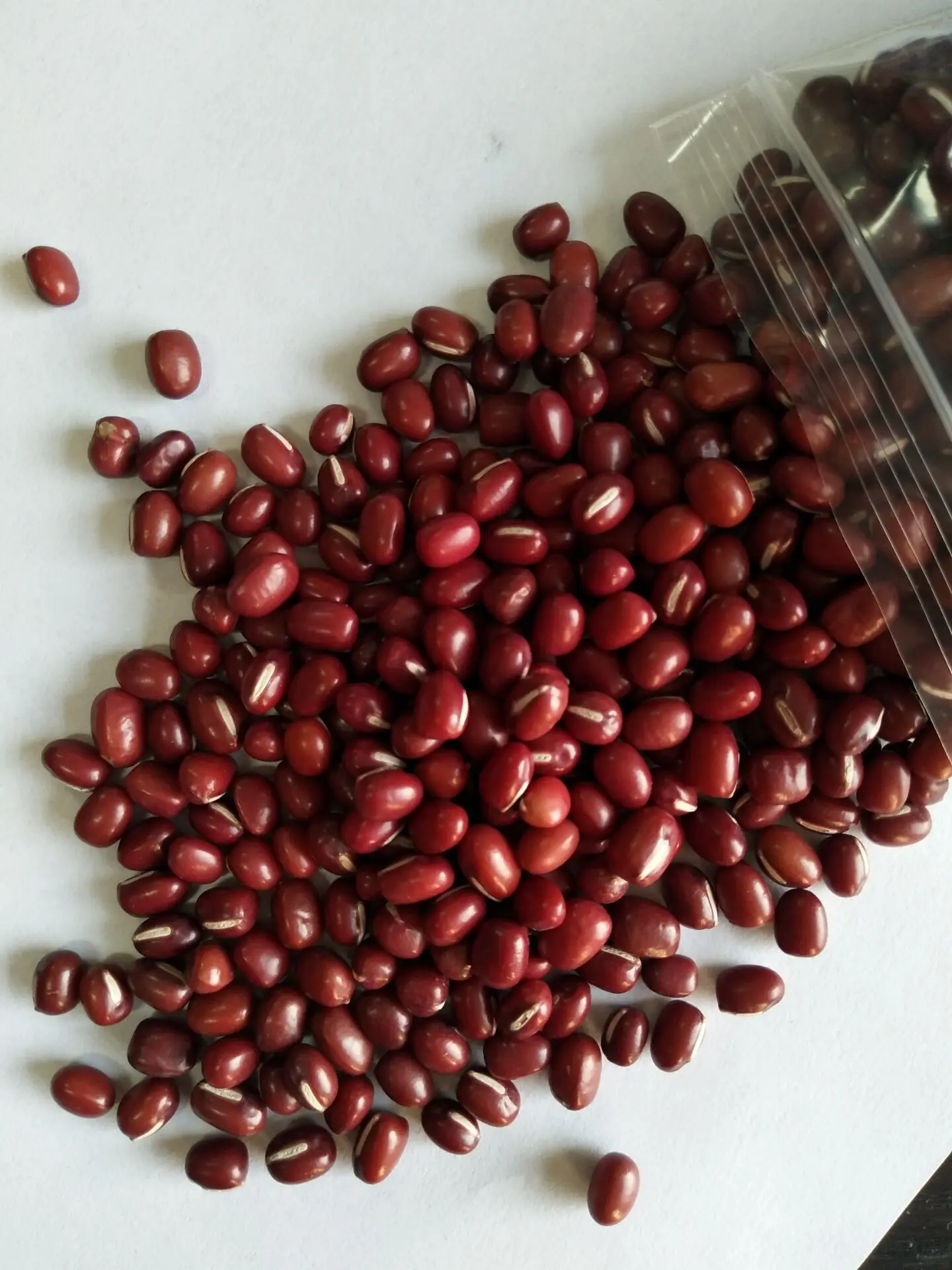 adzuki bean 1.jpg