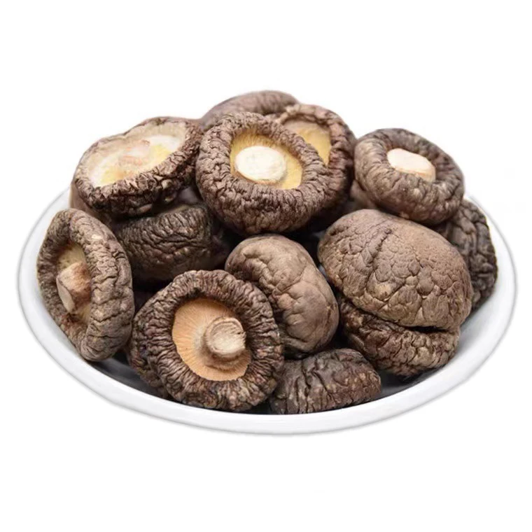 New Dried Shiitake Mushrooms Dried mushrooms Dry goods wholesale Dry goods specialty