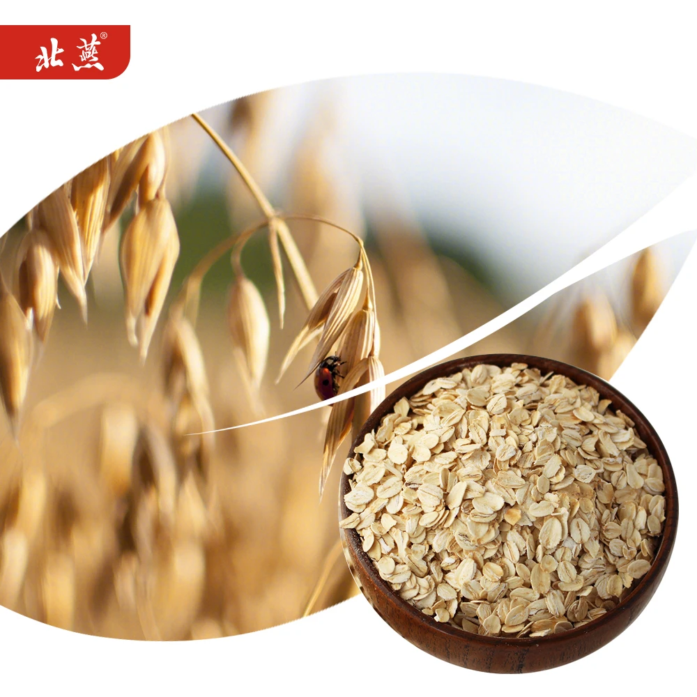 wholesale  China of origin   High quality    Natural growth  big size   organic rolled oats