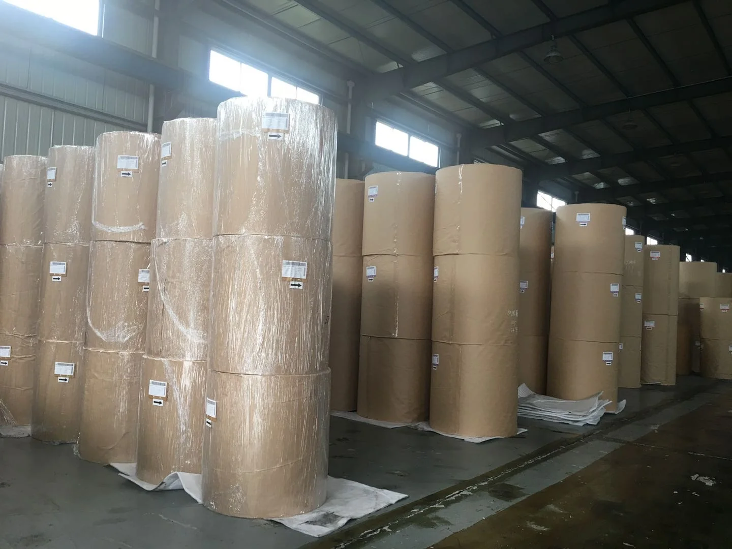 premium quality cupstock paper,cupstock board