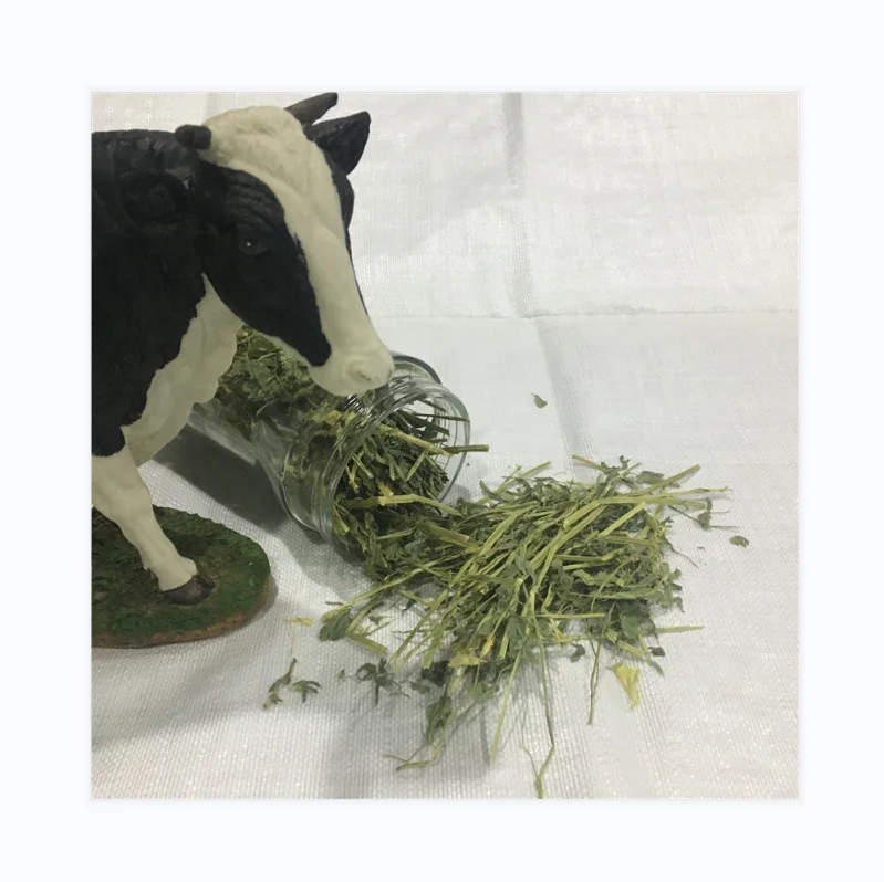 Лучшее качество, T & H Альфальфа для кормления животных