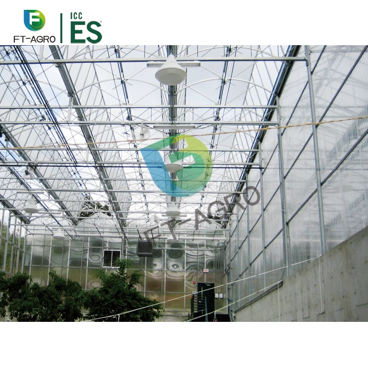 Low Cost High Quality Multi Span PC (polycarbonate) Board Production Greenhouse