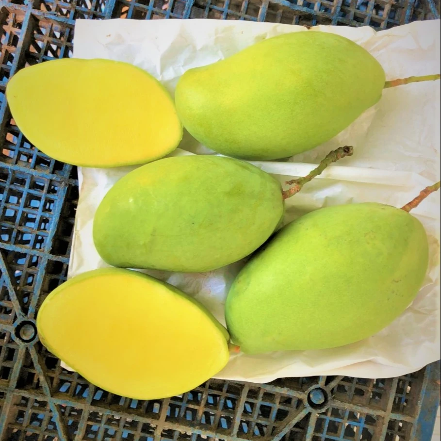 KEO манго-экспортное качество Вьетнам сладкий запах Good Fresh KEO манго для приготовления пищи и питья