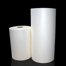 Pet Sheet 0125Mm Soft Mylar Translucent Matte Film